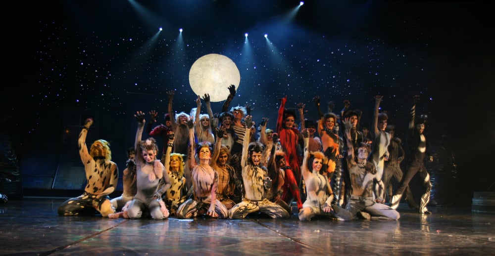 Cats - the musical